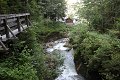 thn_IMG_0583.jpg