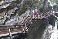 thn_P8090129.jpg