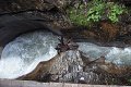 thn_P8090137.jpg