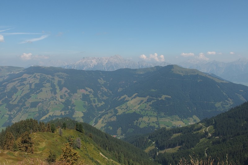 P8100156.jpg