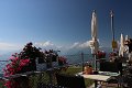 thn_IMG_0620.jpg