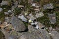 thn_IMG_0752.jpg