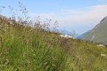 thn_IMG_0789.jpg