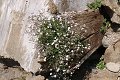 thn_IMG_0898.jpg