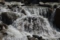 thn_P8110206.jpg