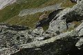 thn_IMG_1040.jpg