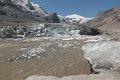 thn_P8120238.jpg