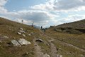 thn_P8120258.jpg