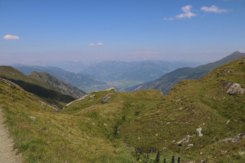 IMG_1129.jpg