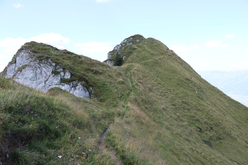 IMG_1166.jpg