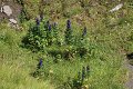 thn_IMG_1130.jpg