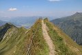thn_IMG_1150.jpg