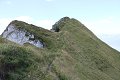 thn_IMG_1166.jpg