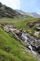 thn_IMG_1270.jpg