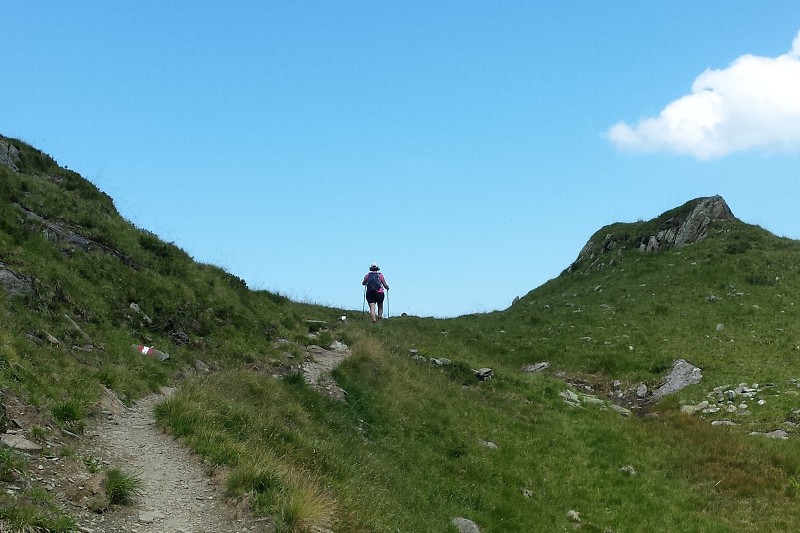 20150813_144734.jpg