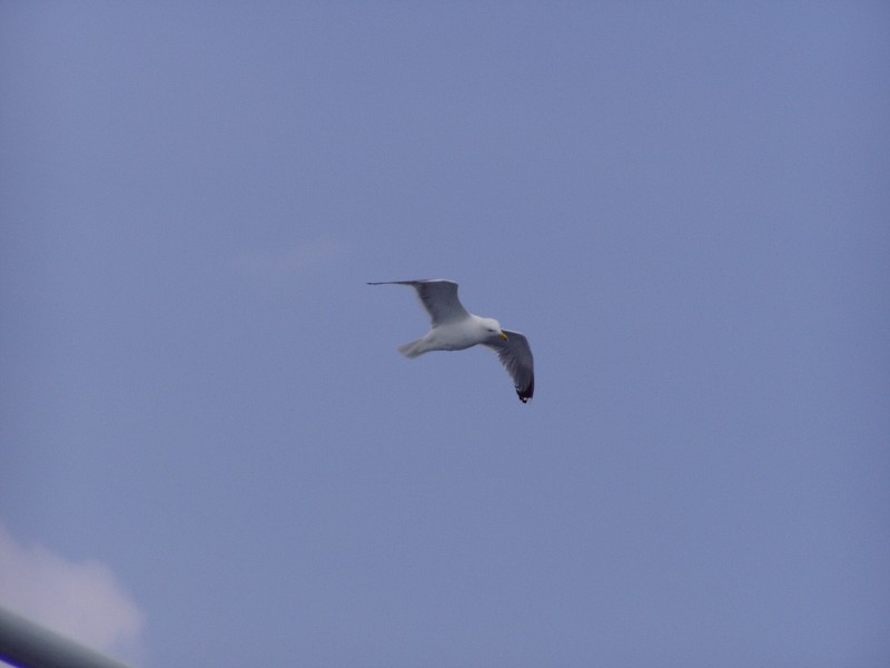 P7022646.jpg