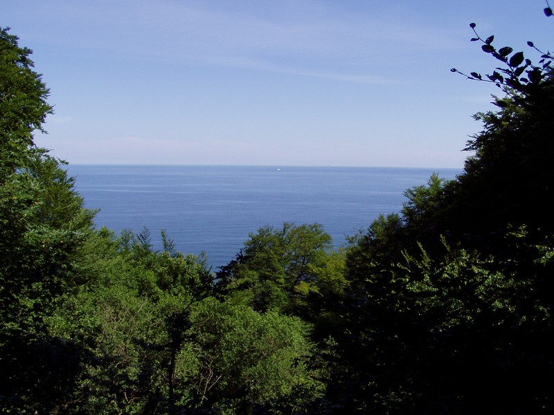 P7022653.jpg
