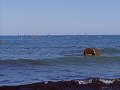 thn_P7022665.jpg