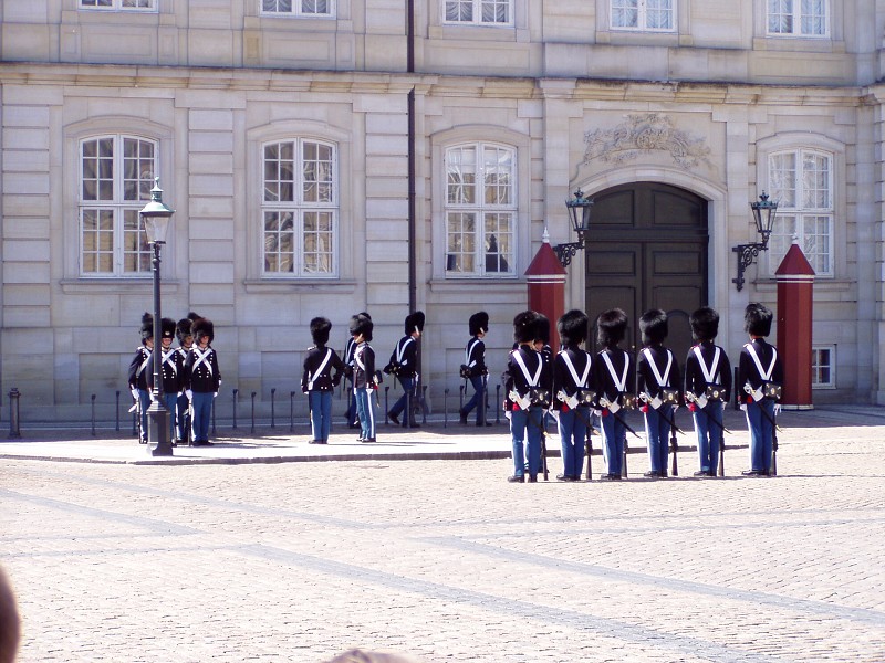 P7032680.jpg