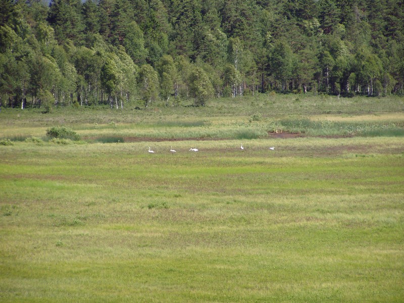 P7042701.jpg