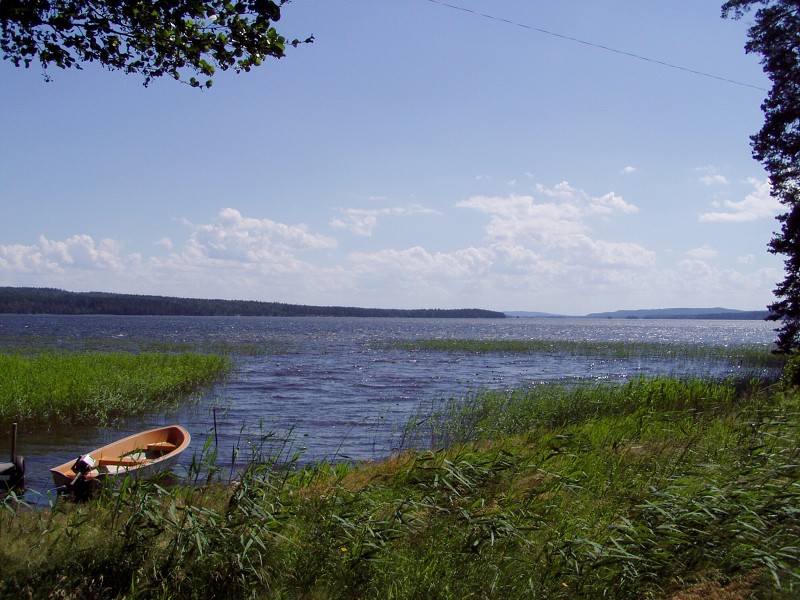 P7062737.jpg