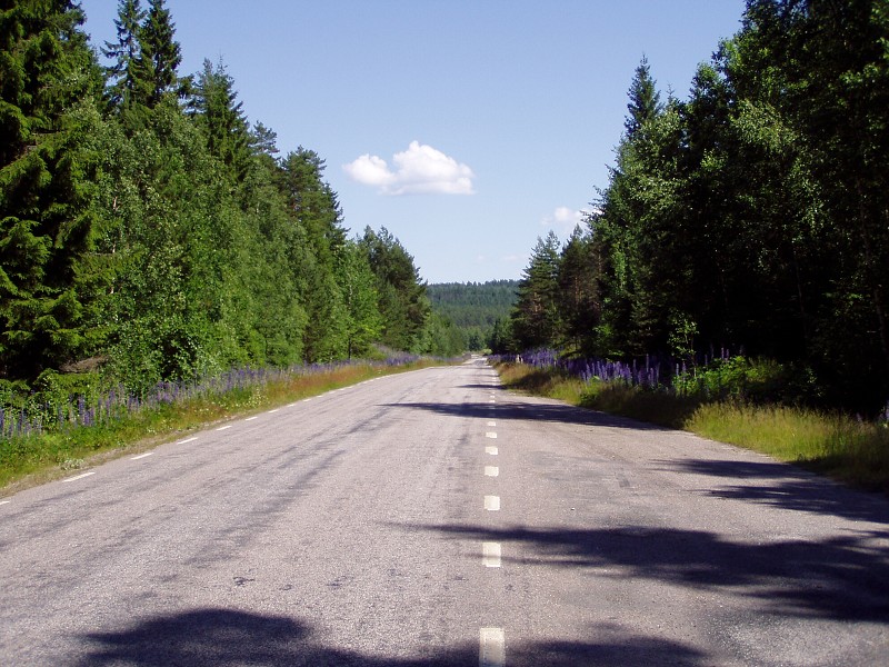 P7062739.jpg
