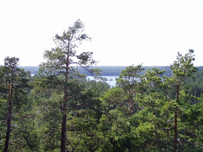 P7062740.jpg