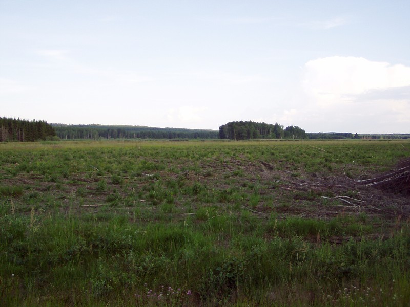 P7072756.jpg