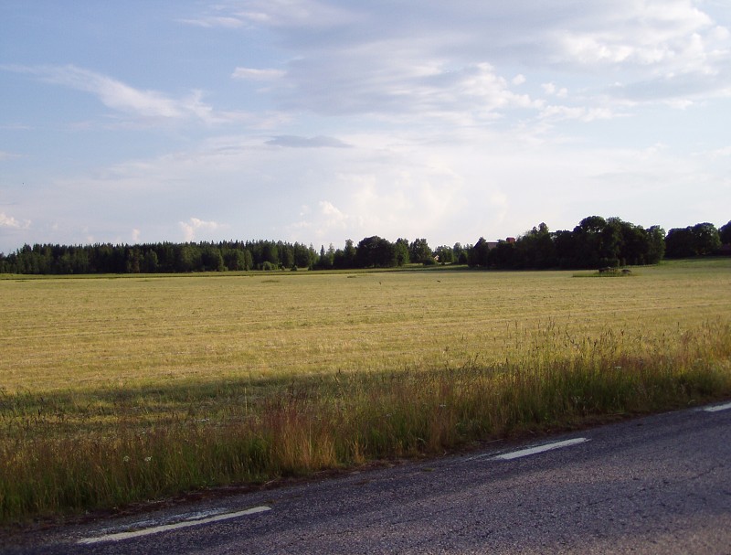 P7072757.jpg