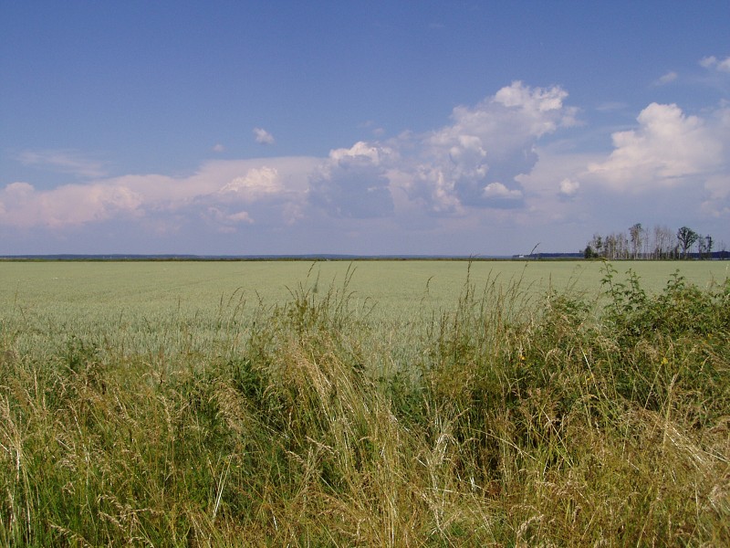P7092770.jpg