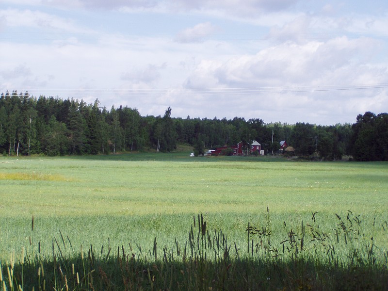 P7132830.jpg