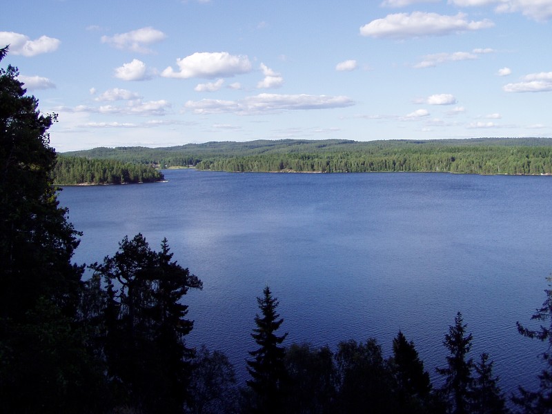 P7132838.jpg