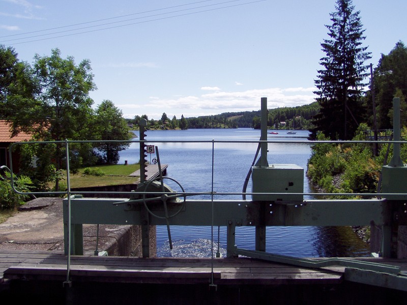 P7142861.jpg