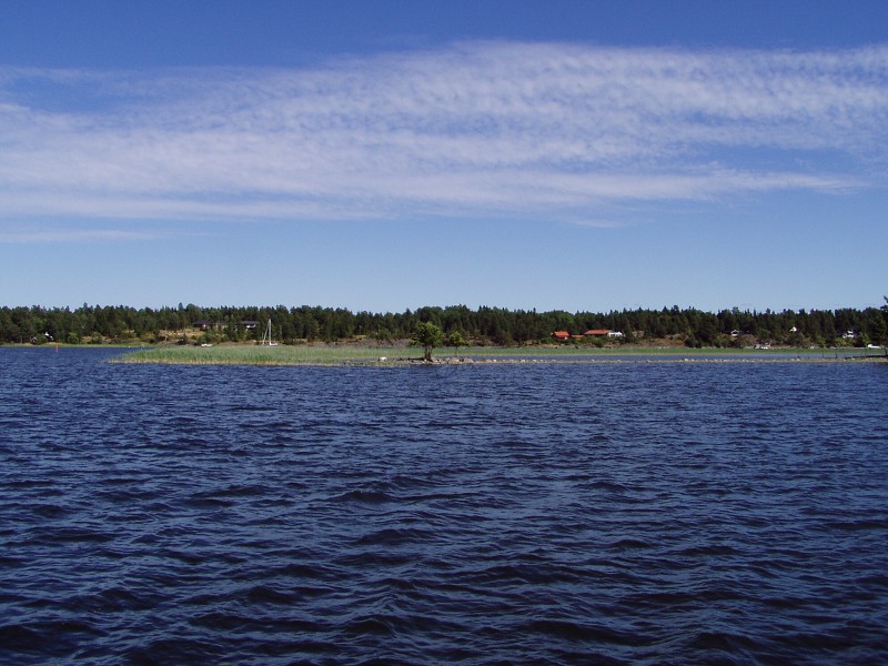 P7142874.jpg
