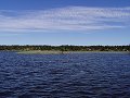 thn_P7142874.jpg