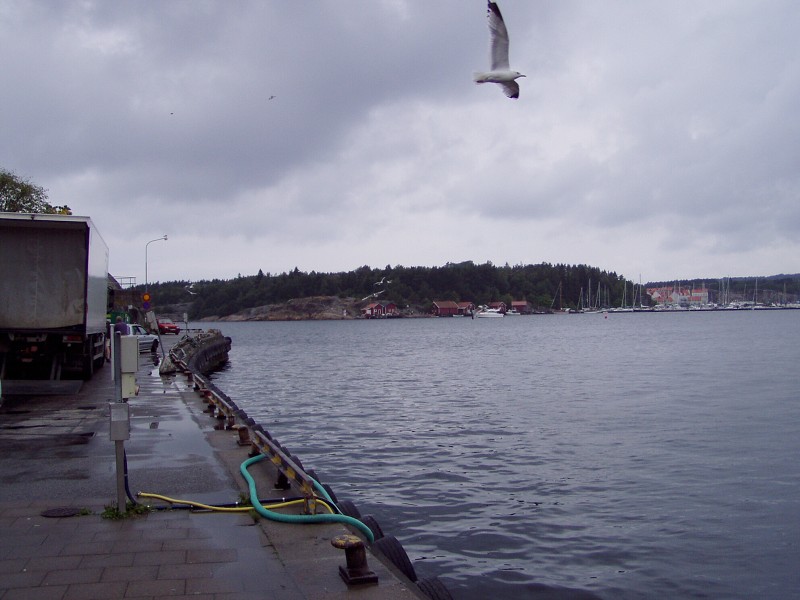 P7152880.jpg