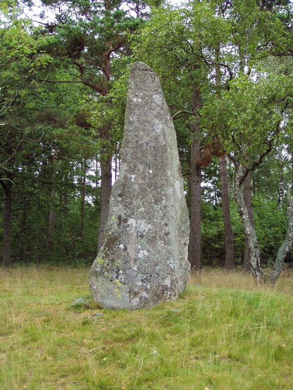 P7152887.jpg