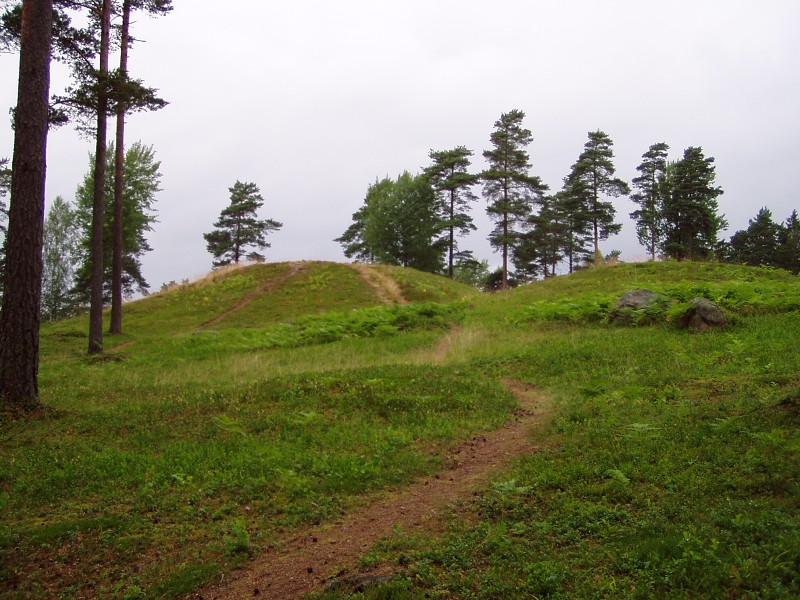 P7152891.jpg