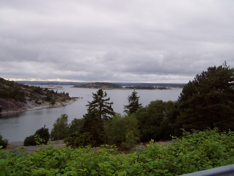 P7152917.jpg