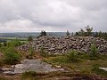 thn_P7152913.jpg