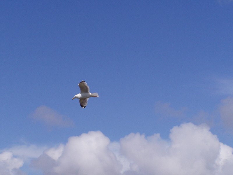 P7162941.jpg