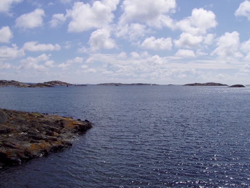 P7162947.jpg