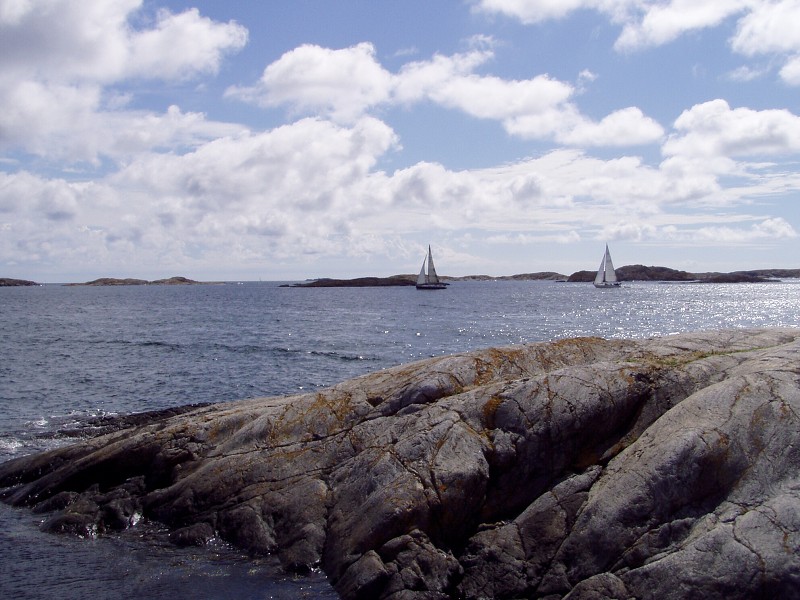P7162949.jpg