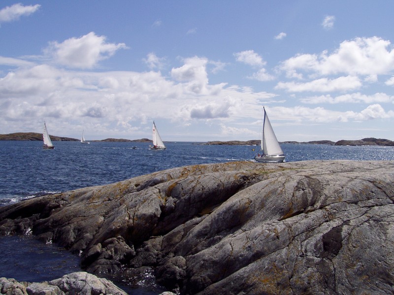 P7162950.jpg