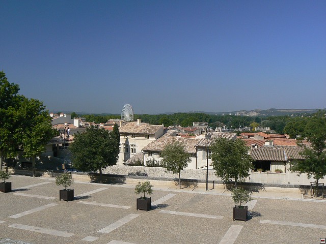 P1030023.jpg