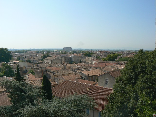 P1030024.jpg