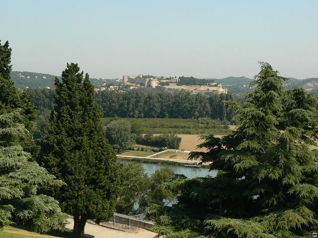 P1030027.jpg