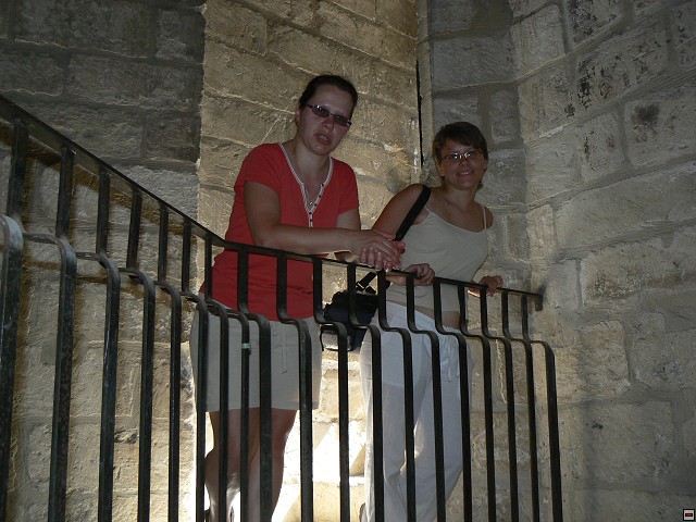 P1030036.jpg