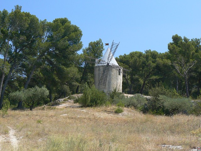 P1030046.jpg