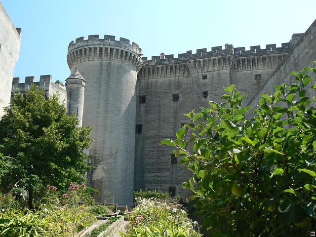P1030057.jpg